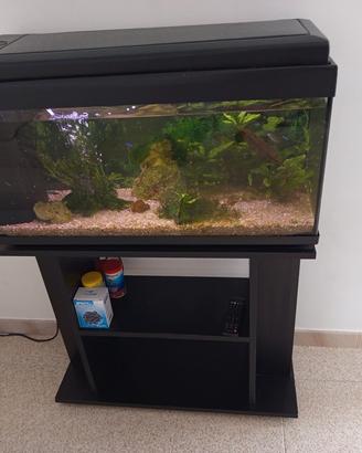 acquario con mobiletto