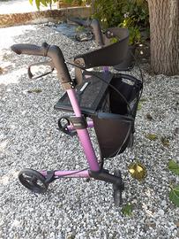 Deambulatore rollator mod. gemino 30
