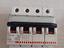 Immagine 1