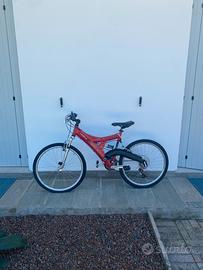 Bici mountain bike