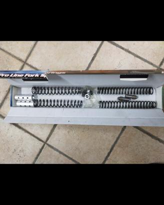 molle&pompanti Yamaha R1 1998-2001