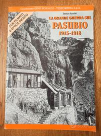 La Grande Guerra sul Pasubio, 1915-1918, E. Acerbi