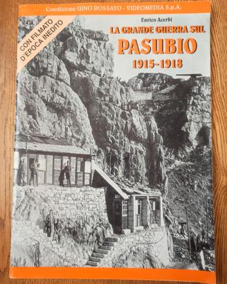La Grande Guerra sul Pasubio, 1915-1918, E. Acerbi