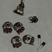 Elettronica chitarra Les Paul