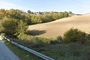 Terreno agricolo