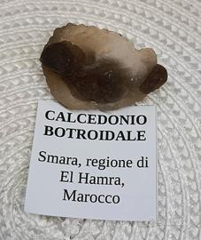 minerale da collezione Calcedonio Botroidale 