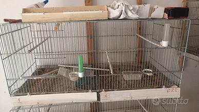 gabbia da 90 completa 