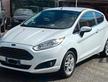 Ford Fiesta 1.6 TDCi 95CV 3 porte Individual