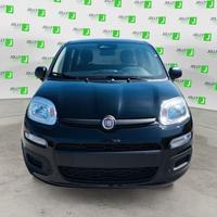 FIAT Panda 1.0 FireFly S&S Hybrid Pop
