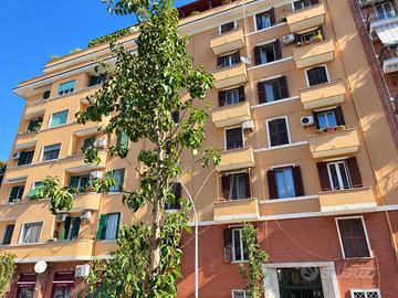 Appartamento Roma [Via VetuloniaARG]