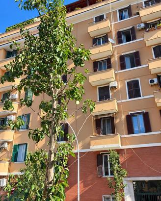 Appartamento Roma [Via VetuloniaARG]