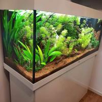 venso acquario juwel rio 240l come in foto