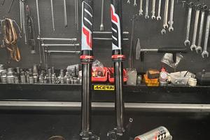 Forcelle kyb lippolis e mono xact pro per ktm