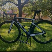 Bici da corsa cipollini