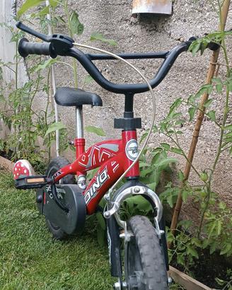 bicicletta bambino 12