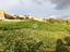 Immagine 15
