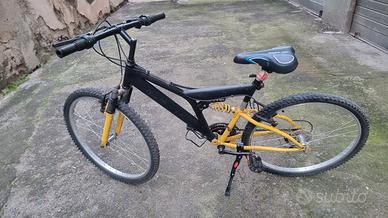 bicicletta 
