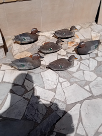 Oche marzaiole di plastica