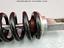 Immagine 26