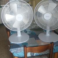 coppia ventilatori da tavolo ardes 60 watt 5 pale