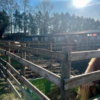 PENSIONE BOX CAVALLI RANCH LAZISE (VR)