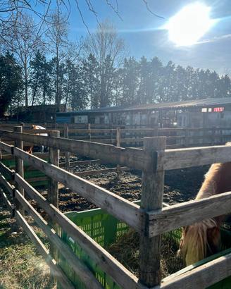 PENSIONE BOX CAVALLI RANCH LAZISE (VR)