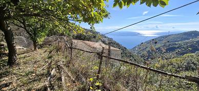 TER. AGRICOLO A VIETRI SUL MARE