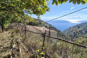 TER. AGRICOLO A VIETRI SUL MARE