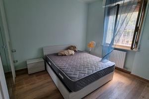 Stanze in appartamento a vimodrone