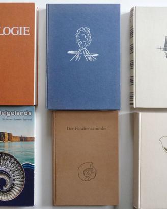 Geologie 6 Buch Bücher auf Deutsch Fossilien stock