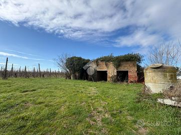 TER. AGRICOLO A RAVENNA