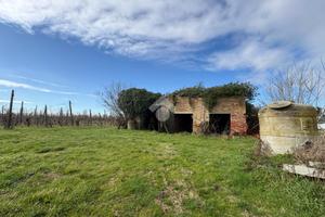 TER. AGRICOLO A RAVENNA