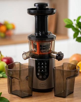 Estrattore di Succo Professionale RGV