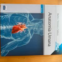 Libro di anatomia umana 6° edizione Martini
