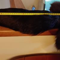 VINTAGE ANNI '20 -PELLICCIA DI VOLPE INTERA L=1 m.