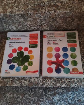 libro scolastico matematica  geometria seconda med