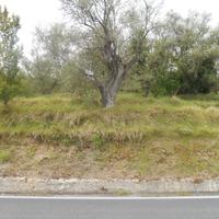 Terreno agricolo edificabile