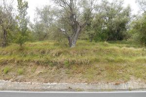 Terreno agricolo edificabile