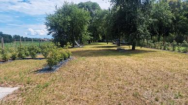 Terreno recintato a turriaco