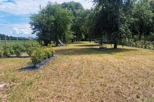 Terreno recintato a turriaco