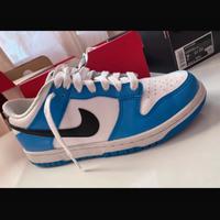 Nike dunk high celeste e bianca