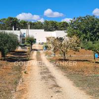 Casa indipendente - Martina Franca
