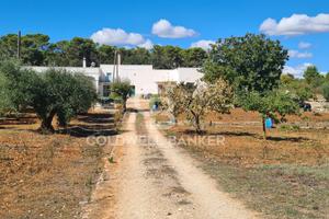 Casa indipendente - Martina Franca
