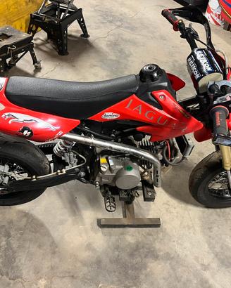 Pit bike 140 motard