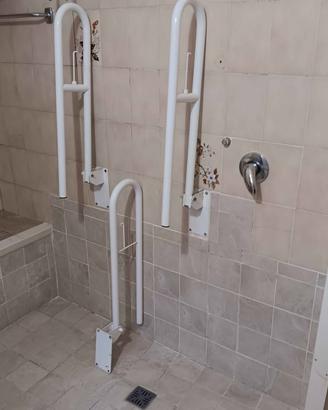 Maniglioni bagno per disabili.