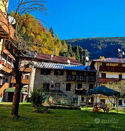 Mansarda a Forni di Sopra