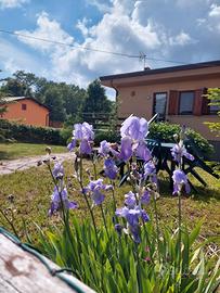 Casa vacanze in montagna FREE WI FI
