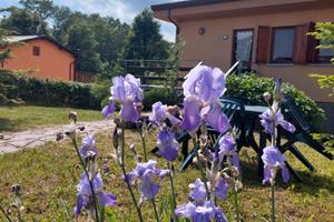 Casa vacanze in montagna FREE WI FI