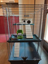 Gabbia Cody Cromo per roditori