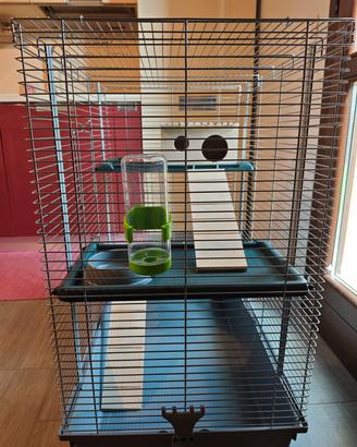 Gabbia Cody Cromo per roditori